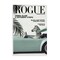 Stupell Industries Rogue Zebra Magazine Wall Plaque By Annabelle Hall